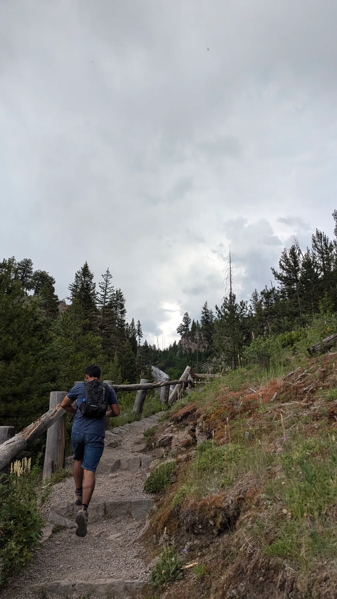 Varun Singh hiking up a forested trail